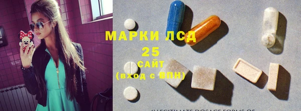 крисы Горняк
