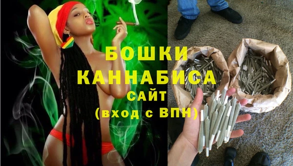 крисы Горняк